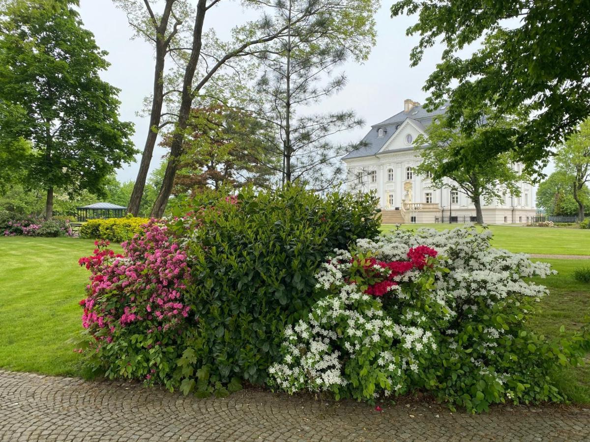Hotel Palac Borynia Jastrzębie Zdrój