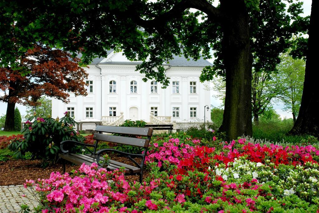 Hotel Hotel Palac Borynia